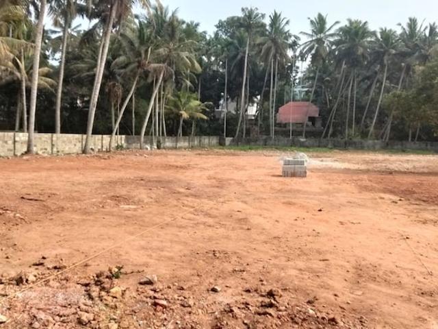 2180 Sq.Ft. Plot in Pappanamcode Thiruvananthapuram Listing ID: #9996