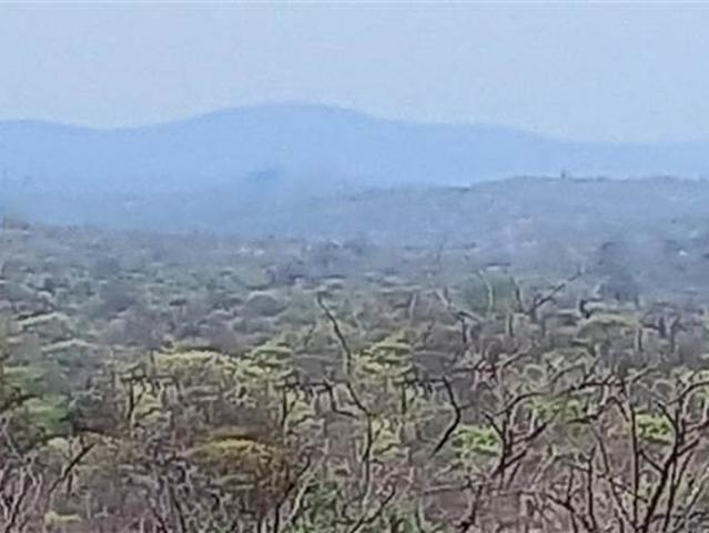21.4 ha Farm in Musina