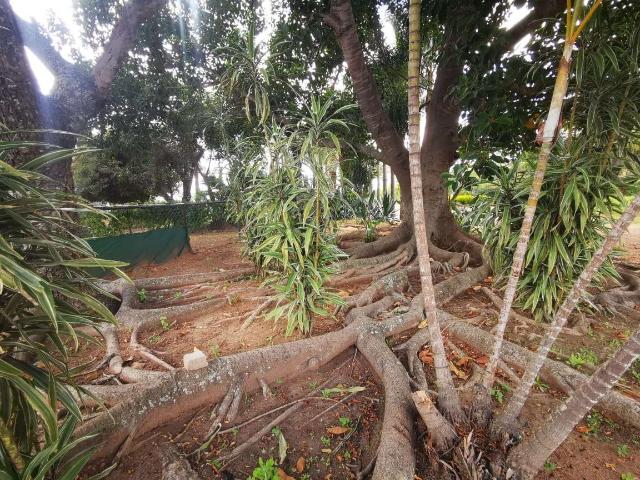21 ha farm for sale in polokwane