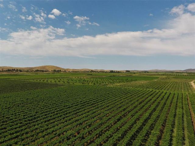 21 ha Farm in Upington