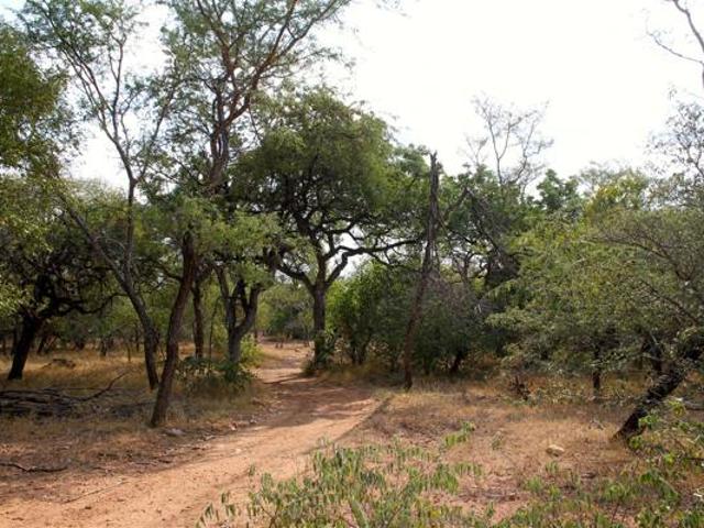 21 ha Land available in Hoedspruit