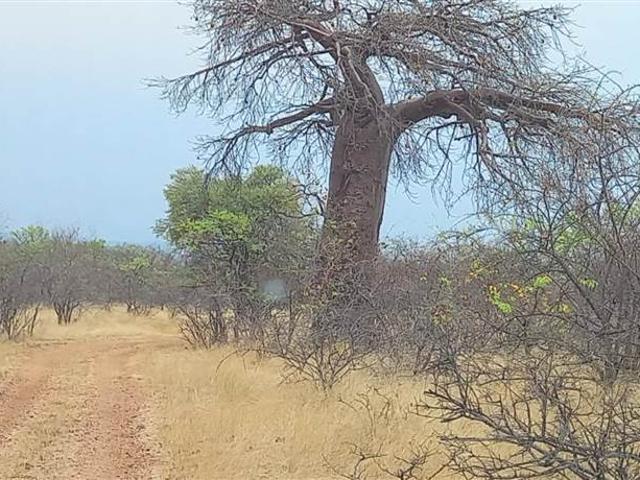 21 ha Smallholding in Musina