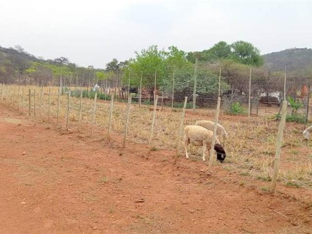 21 ha Smallholding in Musina