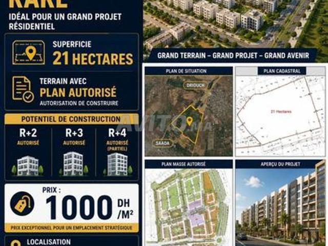 21 hectares avec plan autorisé à deroua
