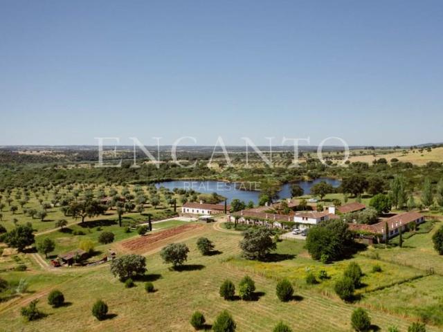21 quarto, Castelo Branco Castelo Branco 98333181