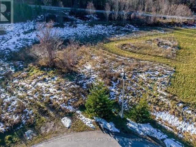 21 Raintree Court, Clearview, ON, L9Y 0K2 vacant land for sale | Listing ID S12698 | Royal LePage