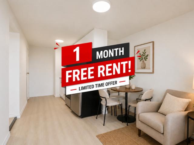 2204 Dufferin Street Studio [object Promise] for Rent