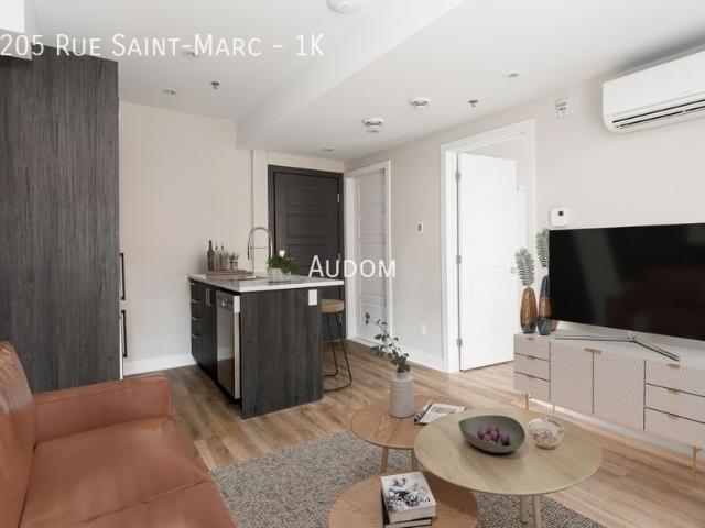 2205 Rue Saint Marc 1K