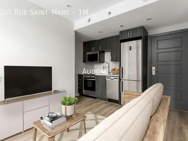 2205 Rue Saint Marc 1M