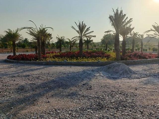 220 Sq.Yd. Plot in Shamirpet Hyderabad Listing ID: #10314