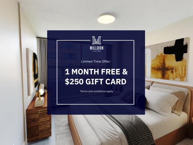 221 Queen Street South Large 1 Bedroom [object Promise] for Rent