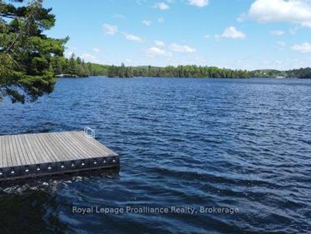 22202 Highway 41, Addington Highlands, ON, K0H 1L0 vacant land for sale | Listing ID X13218 | Royal LePage