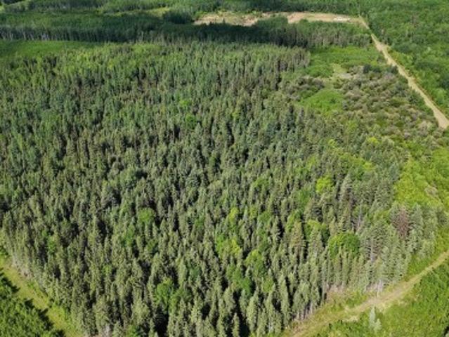 222A Range Rd, Rural Athabasca County, AB, T9S 2A6 vacant land for sale | Listing ID E4498 | Royal LePage