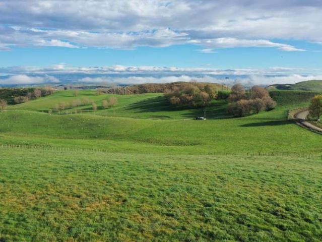 223 and 224 Peacock Road, Waipukurau, Central Hawke's Bay