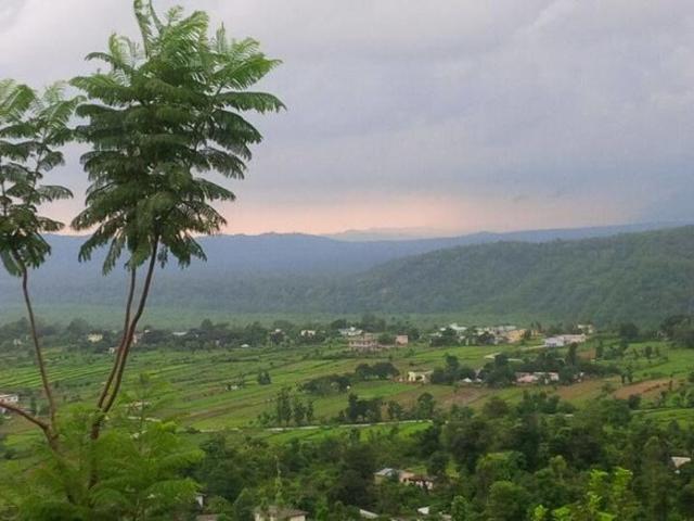 2250 Sq.Ft. Plot in Kotabagh Nainital Listing ID: #9152