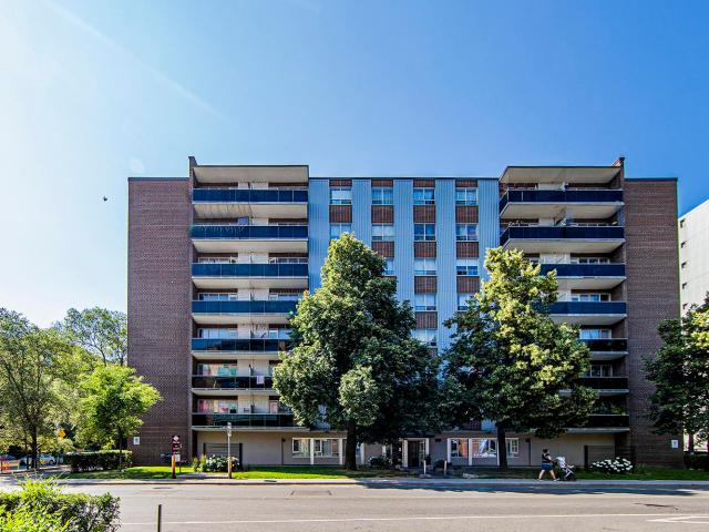 225 227 Cosburn Ave 1 Bedroom [object Promise] for Rent
