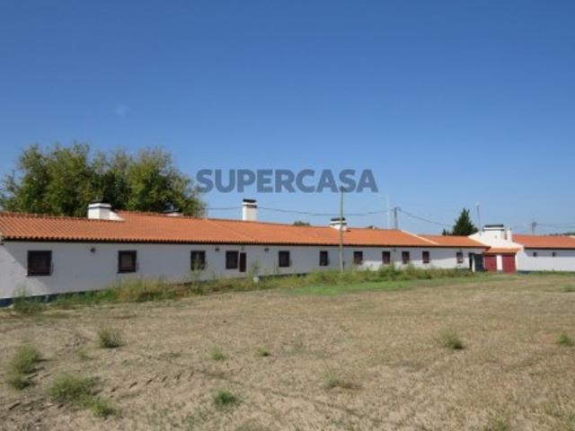 226 ha Herdade | Alcácer do Sal | 853 m2 Habitações, 1500 m2 Pavilhões