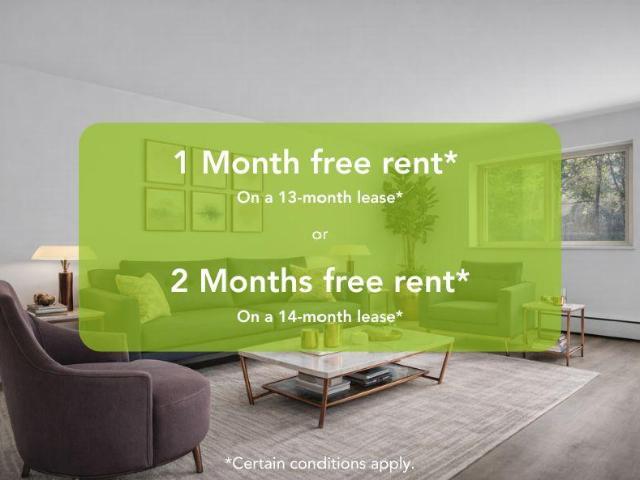 227 Cathcart 0203 [object Promise] for Rent
