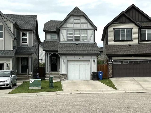 228 Chaparral Valley Mews Se