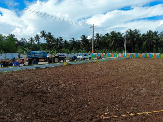 228 Sq.Yd. Plot in Bhogapuram Vizag Listing ID: #9701