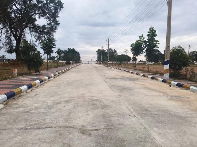 228 Sq.Yd. Plot in Sector 21 Panchkula Listing ID: #10251