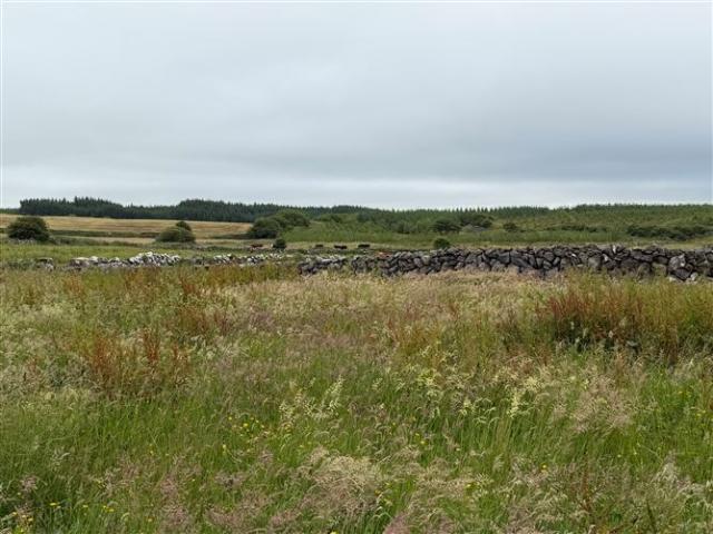 229,000 | Ballycannoe South, Lisdoonvarna, Clare Streets Ahead Properties 5011 MyHome. Ie Residential