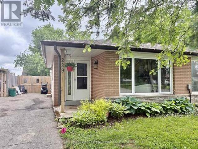 229 Simon Street, Shelburne, ON, L9V 2Y3 house for lease | Listing ID X13445 | Royal LePage