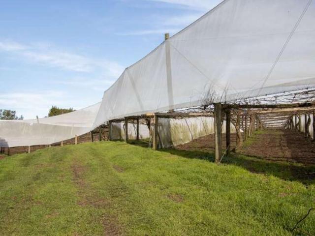 229 Walford Road, Katikati, Western Bay Of Plenty