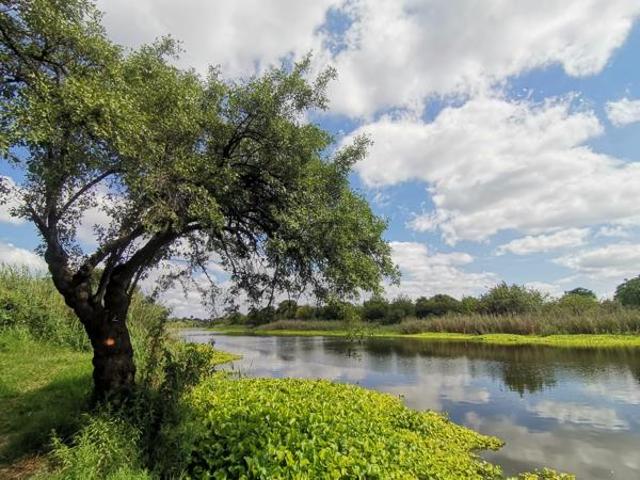 22.5 ha Land available in Primindia
