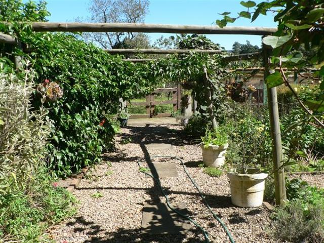 22.8 ha Smallholding in Howick