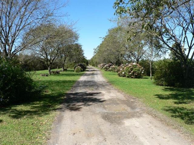 22.8 ha Smallholding in Howick