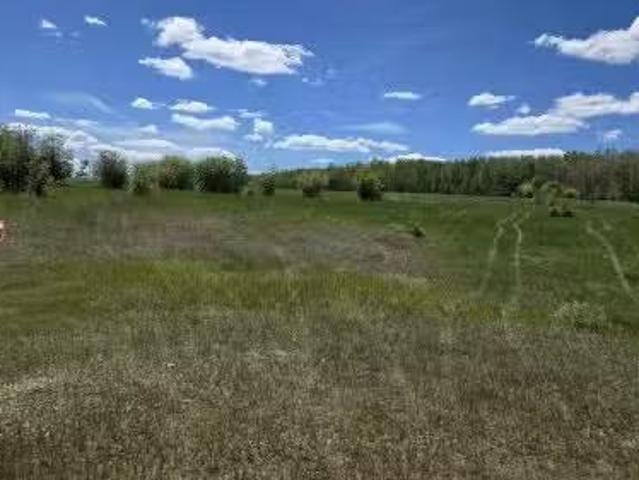 22 15025 Twp Rd 470, Rural Wetaskiwin County, AB, T0C 2V0 va.