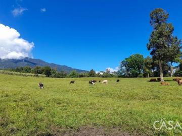 22.25 Hectáreas de Tierra de Pasto en Potrerillos Arriba, Boquete