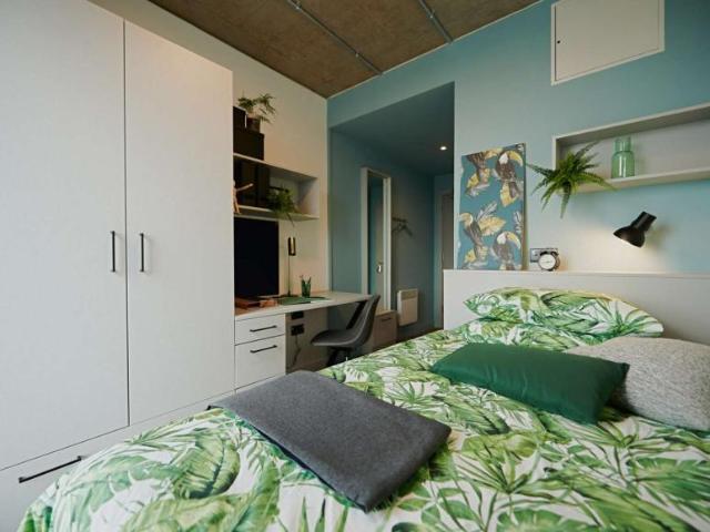 22 Bedroom Shared Living Dublin Dublin D08 P772 101814378