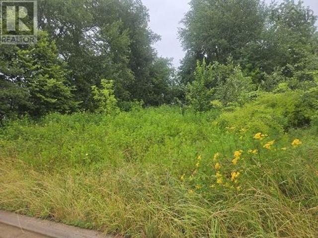 22 Chapel Street, Springhill, NS, B0M 1X0 vacant land for sale | Listing ID 202618 | Royal LePage