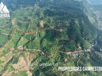 22 Hect?reas de Oasis Productivo y Tur?stico en la Sierra Norte