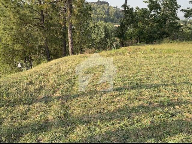 22 Marla Residential Plot For Sale