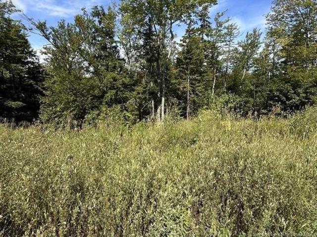22 Orchard Ave, Irishtown, NB, E1H 0J5 vacant land for sale | Listing ID NB146052 | Royal LePage