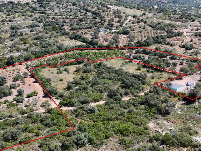 230.000€ Conjunto de 3 terrenos rústicos Barranco de S. Miguel