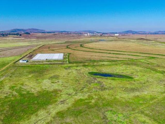 230.2 ha Land available in Balfour