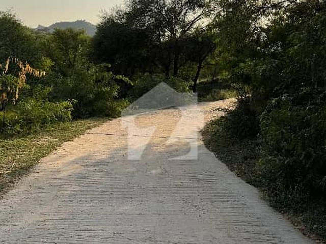 230 Kanal Land In Kalar Kahar Chakwal
