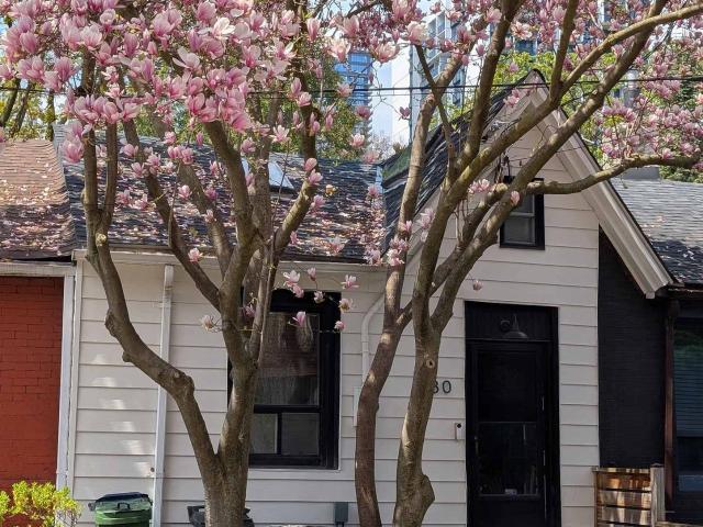 230 Ontario Street, Toronto | 2+1Beds/1Bath, Townhouse, $2,995/mo | Condos. Ca