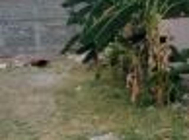 2310 Sq. ft Plot for Sale in Saravanampatti, Coimbatore