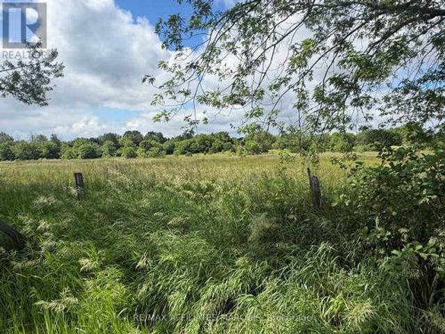 231 Wellington Pin 451060 Street, Greater Napanee, ON, K0K 1G0 vacant land for sale | Listing ID X13497 | Royal LePage