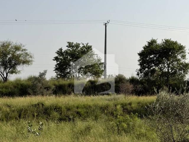234 Kanal Farm House