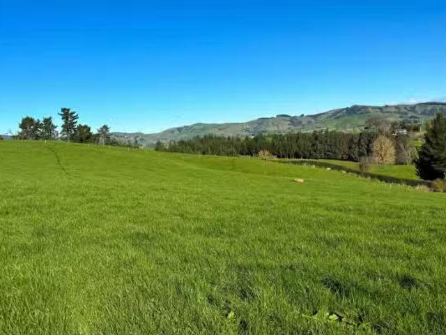 235 Norwegian Road, Cambridge, Waipa For Sale