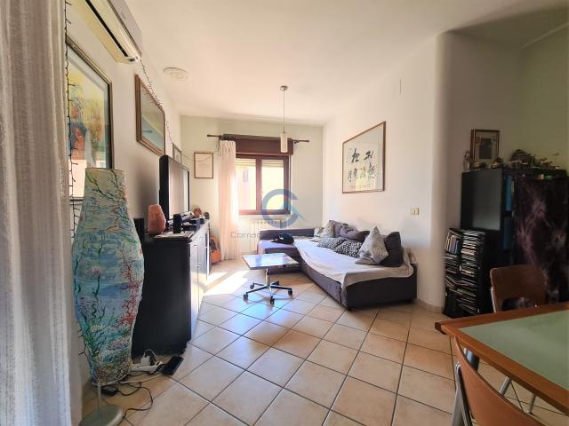 2370 Appartamento Quadrilocale in affitto a Catanzaro Catanzaro Lido
