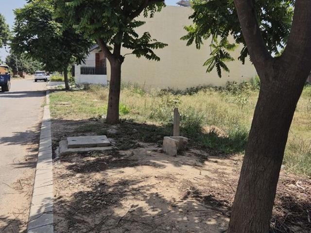 238 Sq.Yd. Plot in Mullanpur Mohali Listing ID: #10381