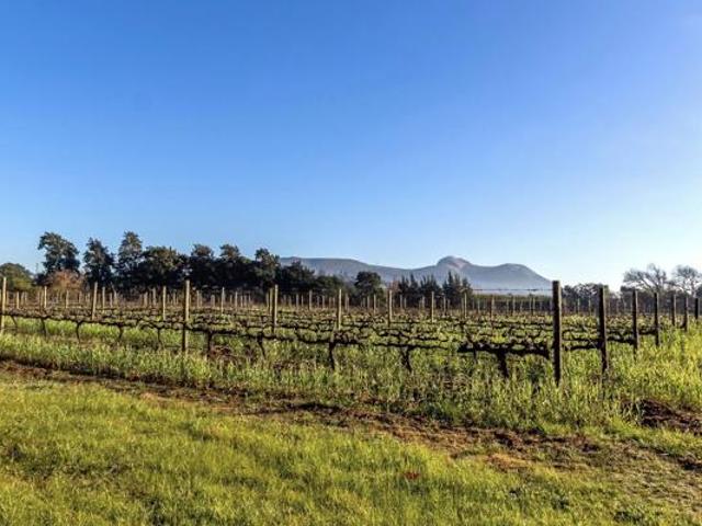 27 ha Land available in Val de Vie Estate