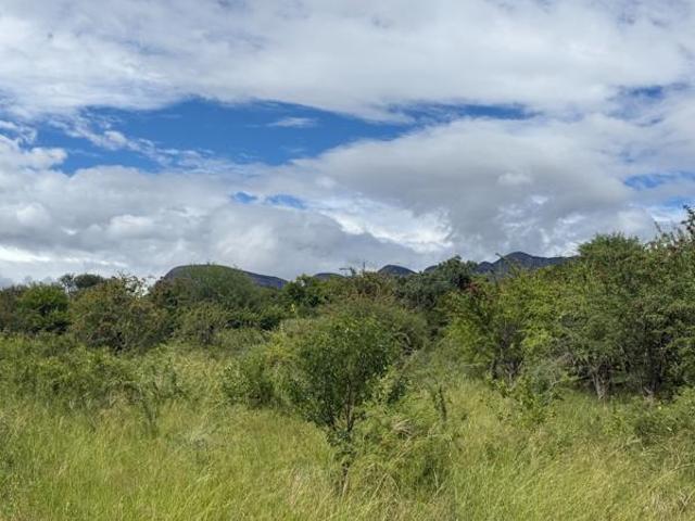 27 ha Land available in Hoedspruit